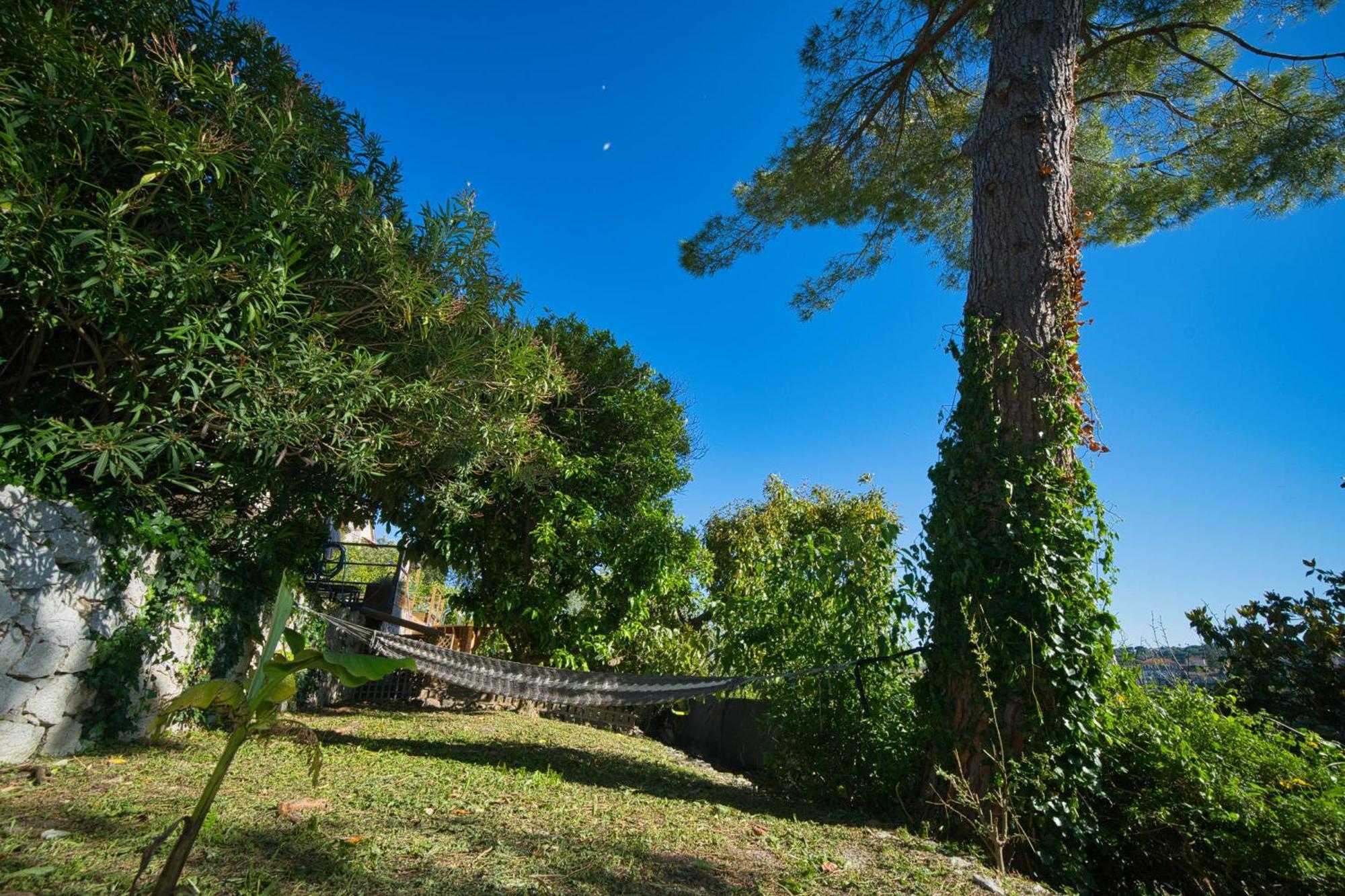 06Q - Biot Beautiful Provencal Villa With Swimming Pool Exterior foto